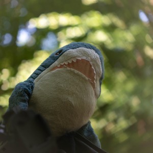 Plushies!